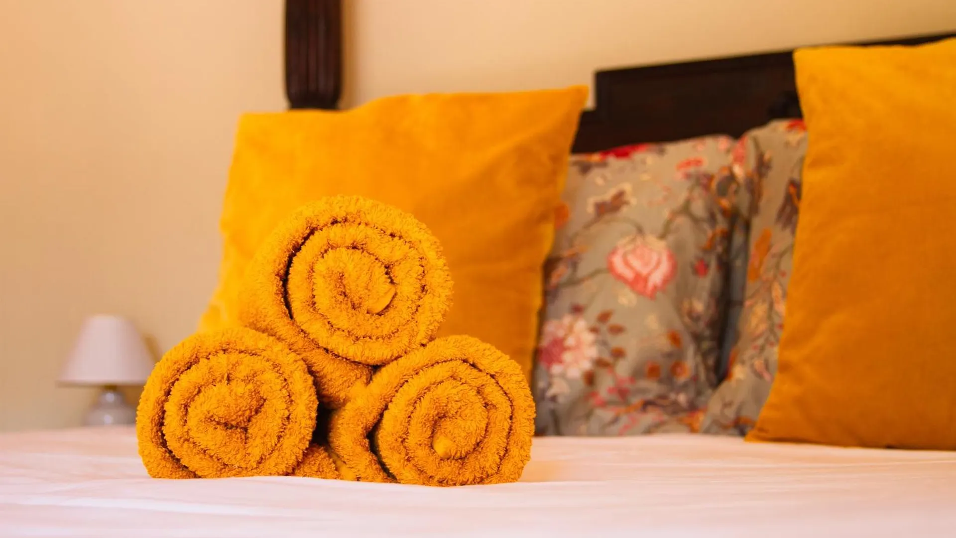 Landhuis Francia Willemstad Bed & Breakfast